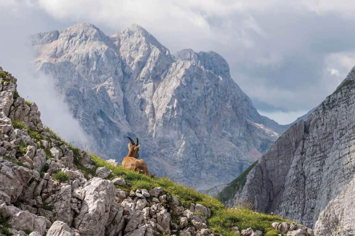 Bland bergen 2026 kalender